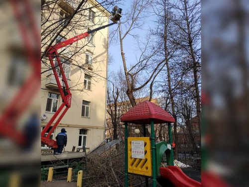 Деревья уничтожают в центре Москвы, где и так нечем дышать