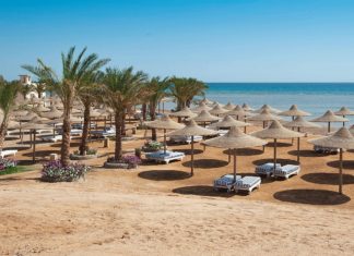 Стоит ли покупать туры в Египет? Стоит ли покупать туры в Египет?