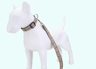 Аксессуары для собак. Что нужно? Аксессуары для собак. Что нужно?