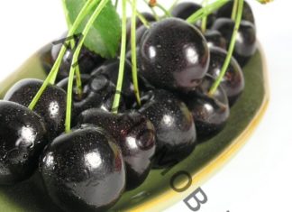 Особенности вишни Шоколадницы Особенности вишни Шоколадницы