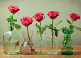 Как сохранить срезанные розы в вазе дольше Как сохранить срезанные розы в вазе дольше