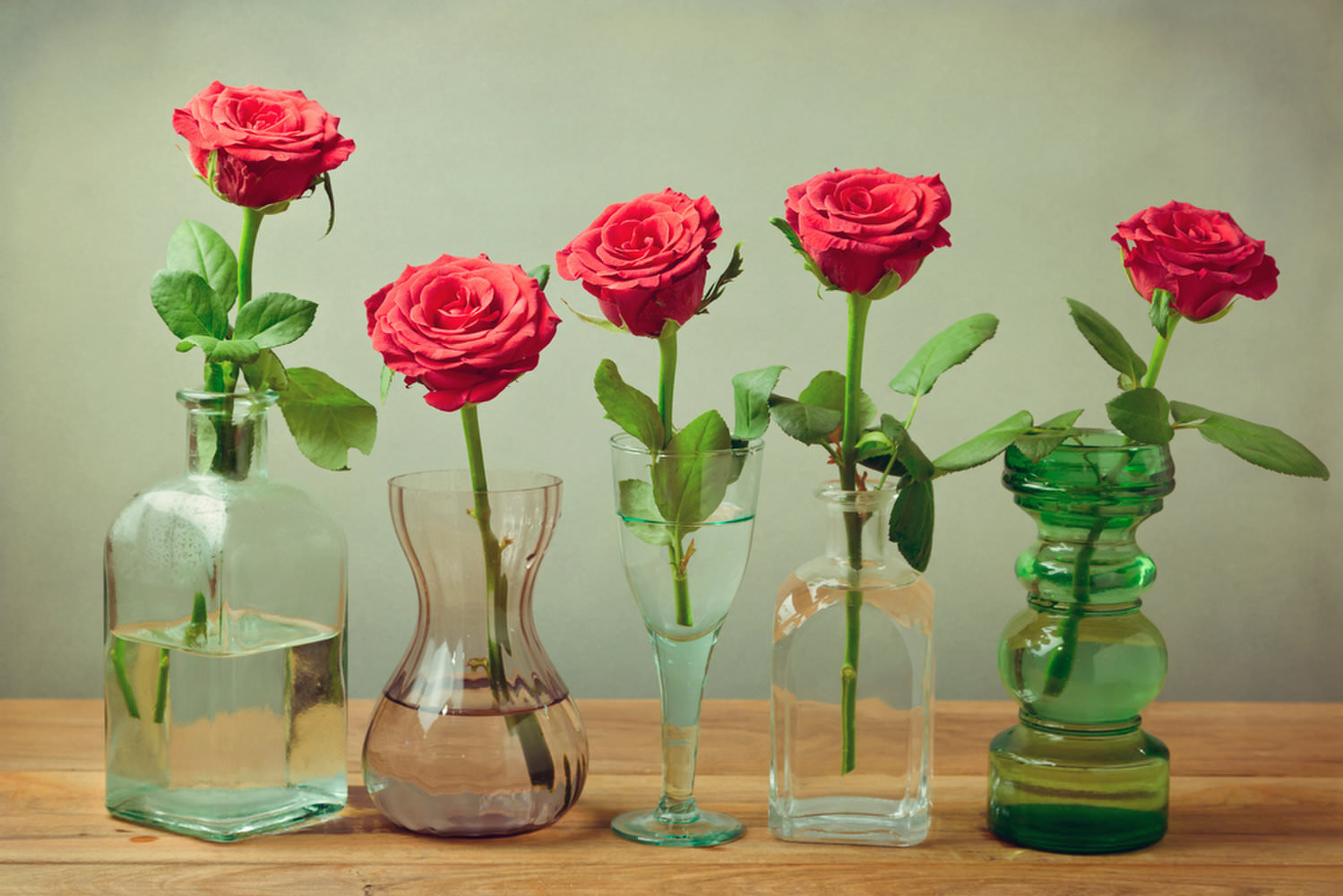 Как сохранить срезанные розы в вазе дольше