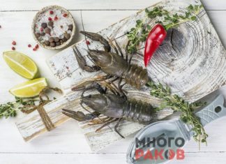 Изысканные раки на тарелке Изысканные раки на тарелке