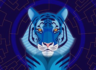 Каким будет 2022 Год Тигра? Каким будет 2022 Год Тигра?