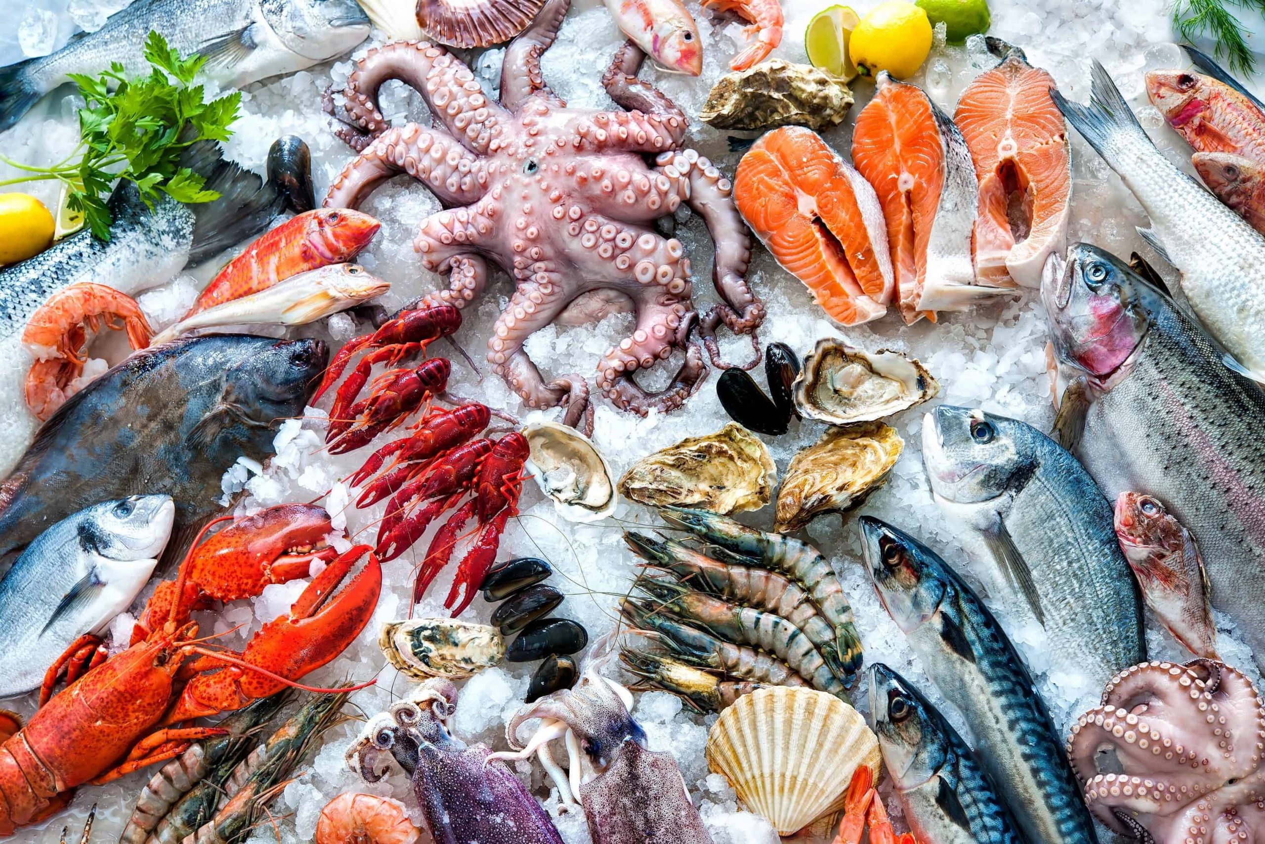 Морепродукты: особенности и польза для здоровья