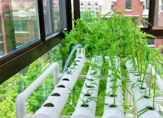 Системы гидропоники в интернет-магазине Grow BOOM по разумной цене Системы гидропоники в интернет-магазине Grow BOOM по разумной цене