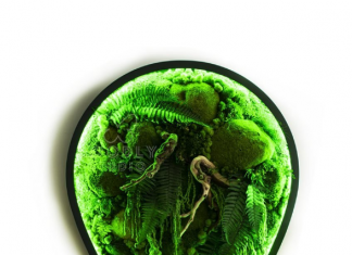 Что такое картина из мха? Что такое картина из мха?