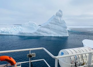 Ваш Ключ к Морской Карьере: Bfisherman — Надежный Гид в Морском Мире отзывы rbesolov