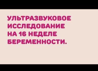 16 неделя беременности: развитие плода, что происходит с малышом и мамой, ощущения в животе — Медицинский женский центр в Москве