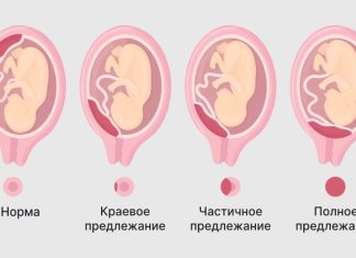 2-ой триместр беременности