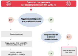 20 инфекций, которые особенно опасны для беременной и плода (2021-04-08 10: 13: 57)