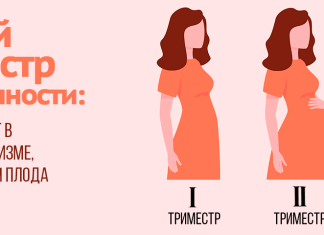 3 (третий) триместр беременности, последний период беременности