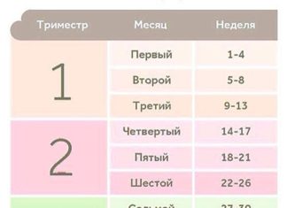 7 месяц беременности сколько это недель, что можно, ребенок
