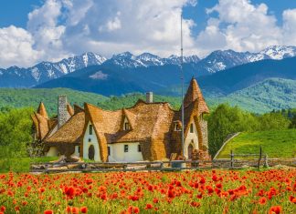 Преимущества гражданства Румынии: отзывы