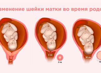 Если беременность не завершилась родами и рождением ребенка