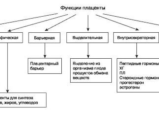 Физиологические изменения в организме женщины при беременности | «За Рождение» Киров