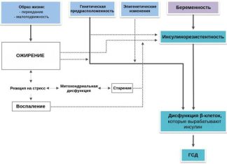 Гестационный сахарный диабет: причины, симптомы и лечение в статье эндокринолога Кирдянкина Н. О.