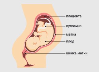 Неразвивающаяся беременность. Остановка развития беременности. Причины неразвивающейся беременности на ранних сроках. Симптомы, последствия, прерывание и беременность после неразвивающейся беременности.