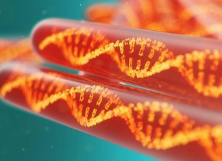 Осложнения беременности: все о возможных генетических рисках | «Юнона»