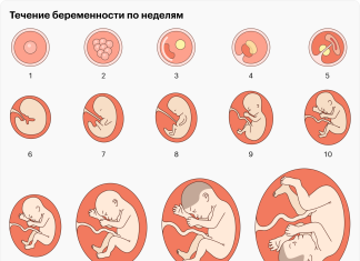 Первый триместр беременности