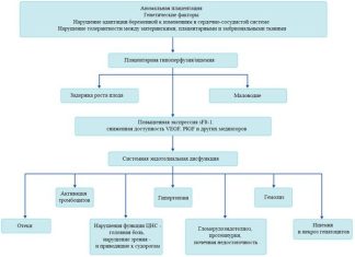 Преэклампсия беременных: диагностика и профилактика в статье акушера Дубового А. А.