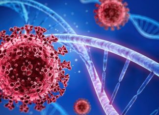 Пренатальный скрининг или анализ крови беременных на маркеры патологии плода; Медико-диагностический центр; Глори.