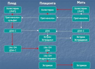 Пренатальный скрининг — самая полная информация