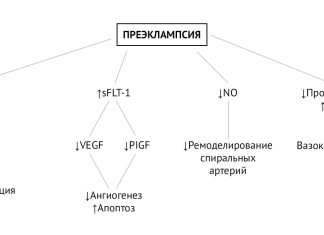 Профилактика преэклампсии