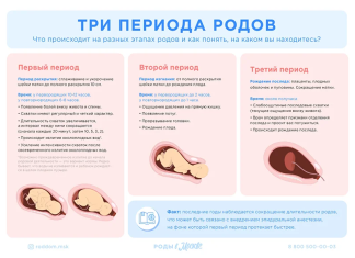 Роды от подготовки до послеродового периода
