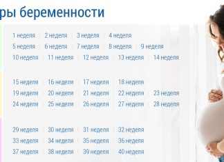 Третий триместр беременности: с какой недели начинается, что нужно знать — Медицинский женский центр в Москве