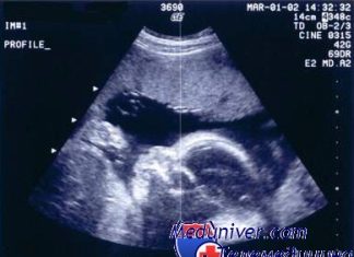 УЗИ при беременности. Влияние ультразвука на плод и частота, виды обследования