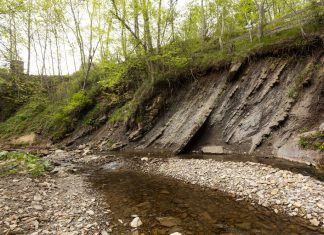Система укрепления склонов: инженерная защита территорий от оползней и селевых потоков