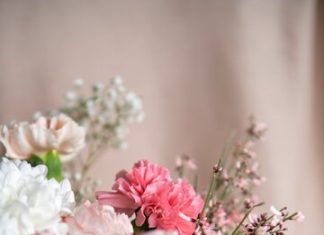 Когда и как выбирать цветы