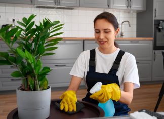 Работа домработницей: идеальный выбор для вас?