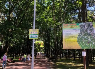 Парк Челюскинцев: оазис зелени в сердце города