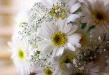 Секреты безупречной доставки цветов: от бутона до адресата