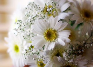 Секреты безупречной доставки цветов: от бутона до адресата