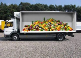 Аренда рефрижератора с водителем для перевозки овощей и фруктов: лучшие практики