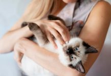 Питомцы учат нас ценить простые радости