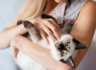 Питомцы учат нас ценить простые радости