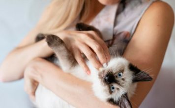 Питомцы учат нас ценить простые радости